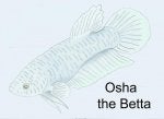 Fish Fish Organism Tail Line art