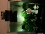 20130725_213610.jpg