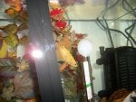 100_2760.jpg