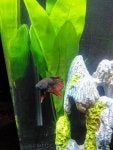 IMG_20170929_101318.jpg