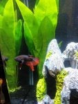 IMG_20170929_101323.jpg