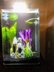 IMG_20170929_101427.jpg